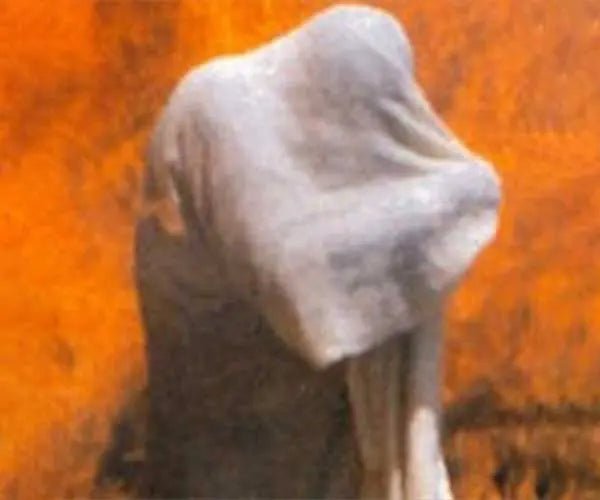 Burnshield Fire Blanket - EverDixie