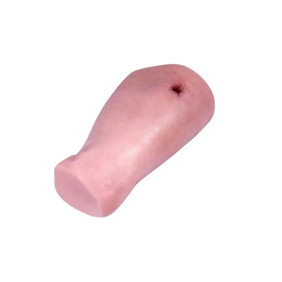 Wound Management Leg Trainer - MED - TAC International