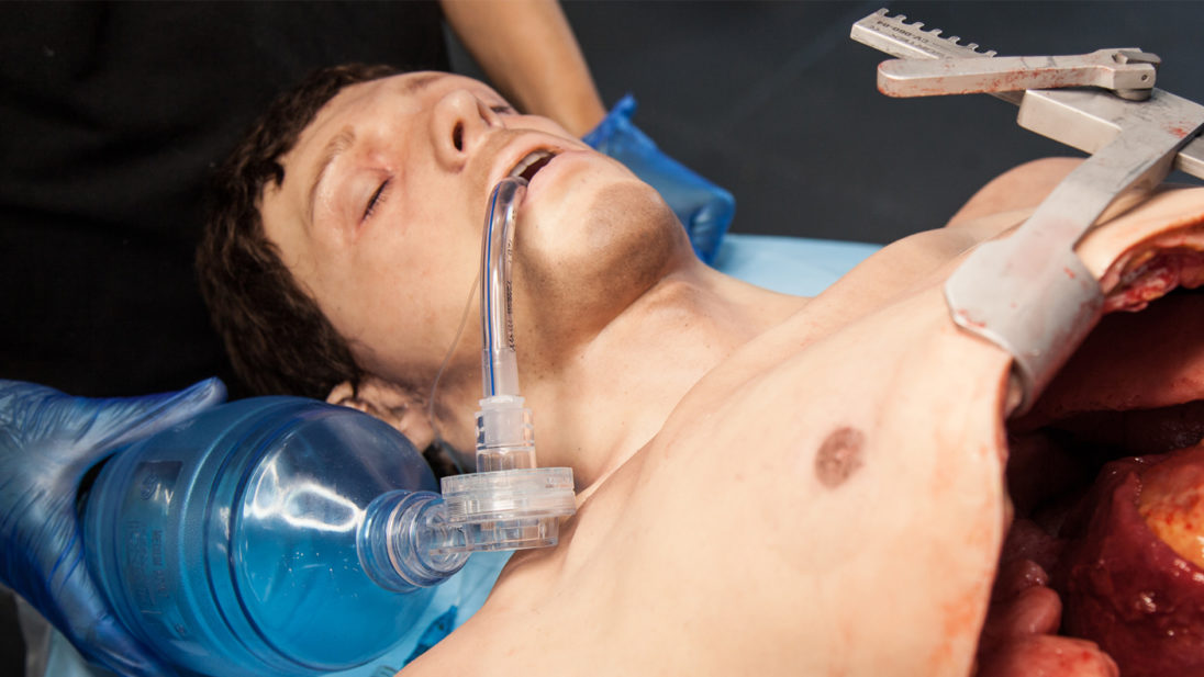 SIMBODIES Advanced Clinical Head and Torso Detail