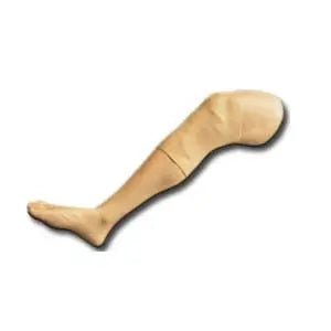 BIG Adult Training Leg - EverDixie