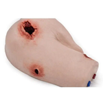 Simbodies Shoulder Wound Packing Trainer - Simbodies