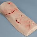 Suture Trainer