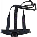 Dragon Harness - Linear Drag Device