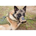 K - 9 Handler Trauma Kit – Canine & Handler IFAK - Tactical Medical Solutions