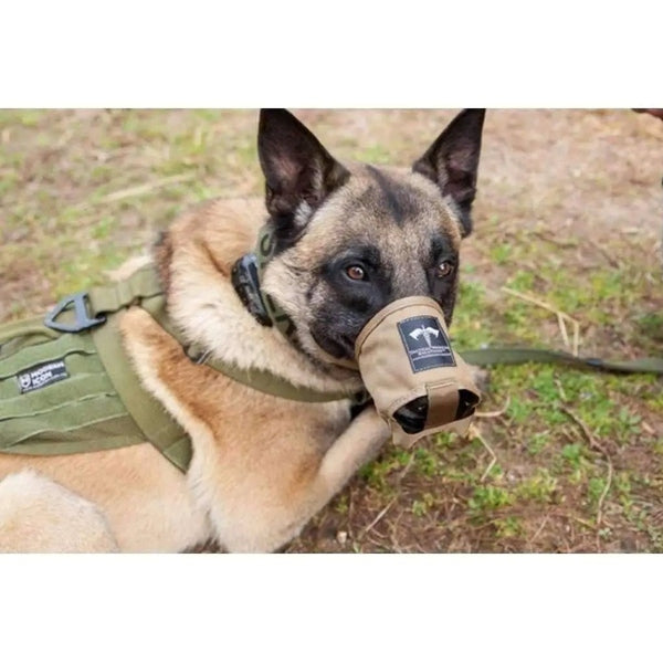 canine tactical gear K-9 Muzzle - - Tactical Provides back Farbe:Schwarz/Rot AOVO electric bike online Cube Attain Vorbau/Lenker gegen